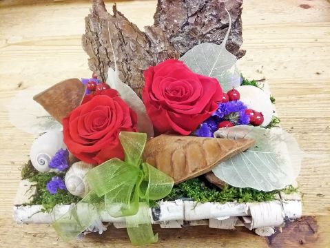 Immagine: Rosa dai Ciöf