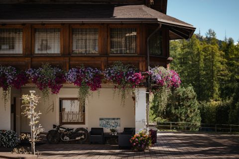 Immagine: Apartments - B&B - Residence Arche Noah