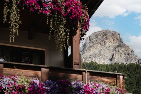 Immagine: Apartments - B&B - Residence Arche Noah